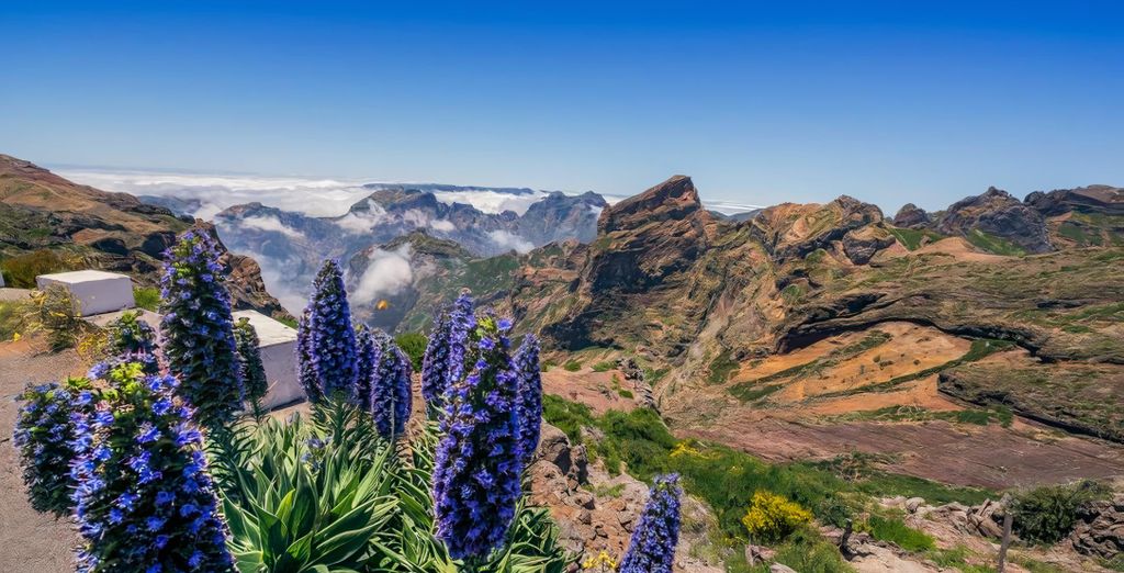 Autotour : Découverte de Madère