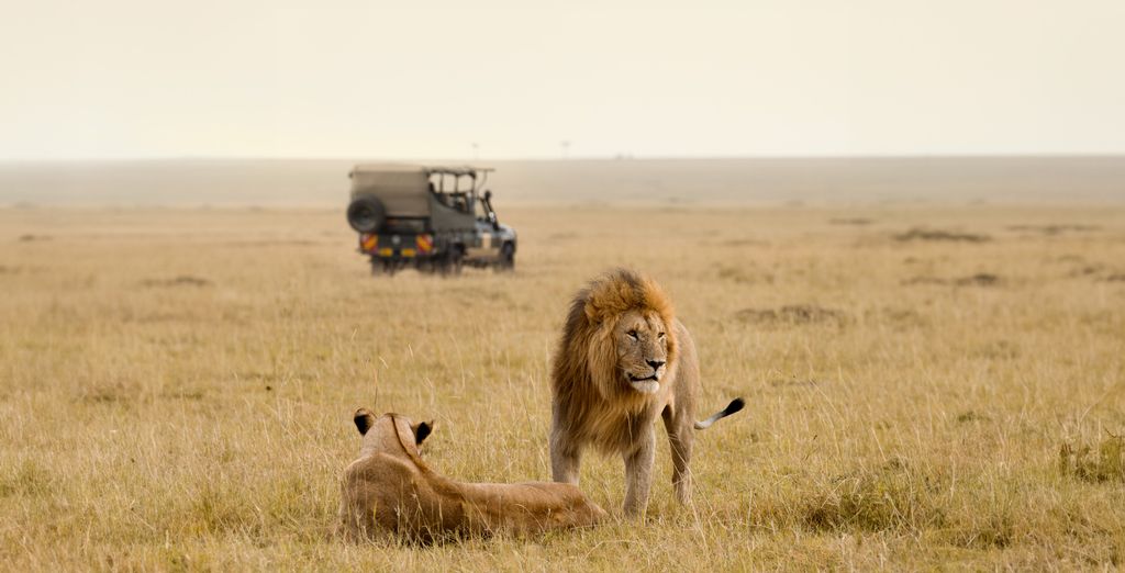 Royal Kruger Lodge 4*