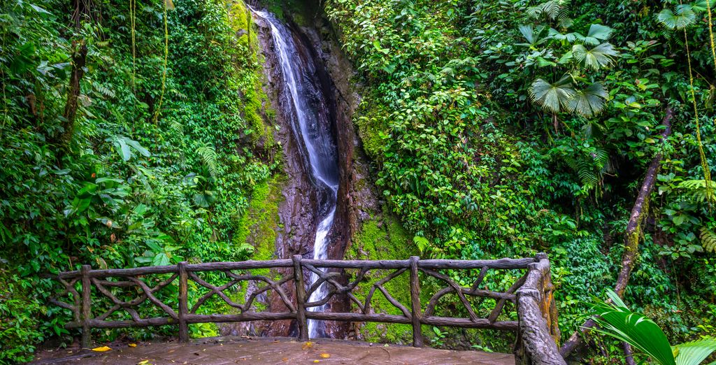Autotour alla scoperta del Paese con estensione al Dreams Las Mareas Costa Rica 4*