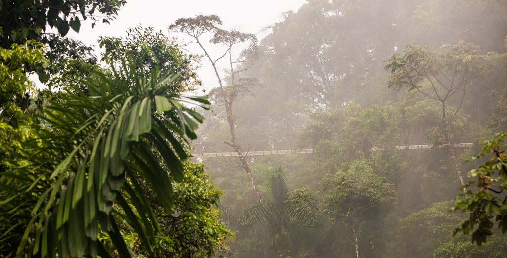 Autotour alla scoperta del Paese con estensione al Dreams Las Mareas Costa Rica 4*