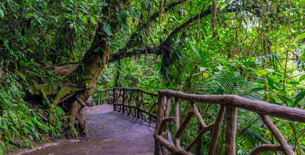 Autotour alla scoperta del Paese con estensione al Dreams Las Mareas Costa Rica 4*