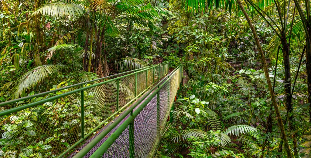 Autotour alla scoperta del Paese con estensione al Dreams Las Mareas Costa Rica 4*