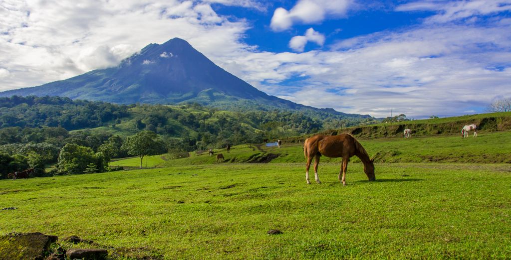 Autotour alla scoperta del Paese con estensione al Dreams Las Mareas Costa Rica 4*