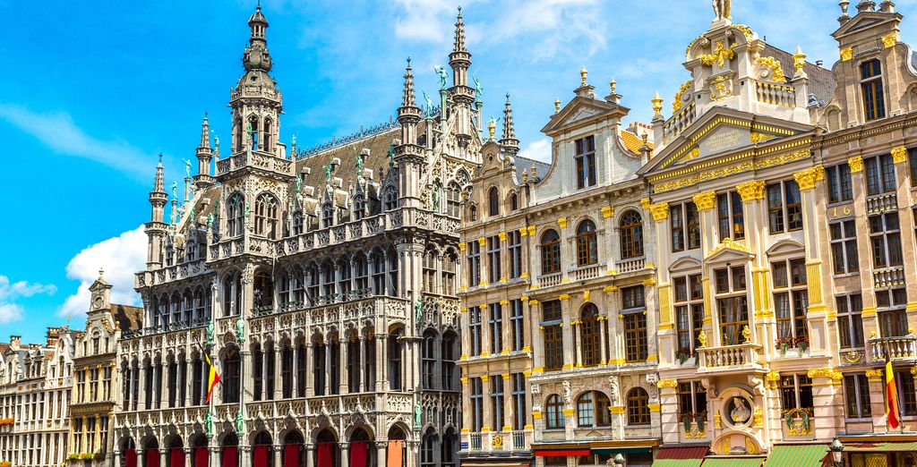 Tour di gruppo: Incanto tra fiandre e polder 