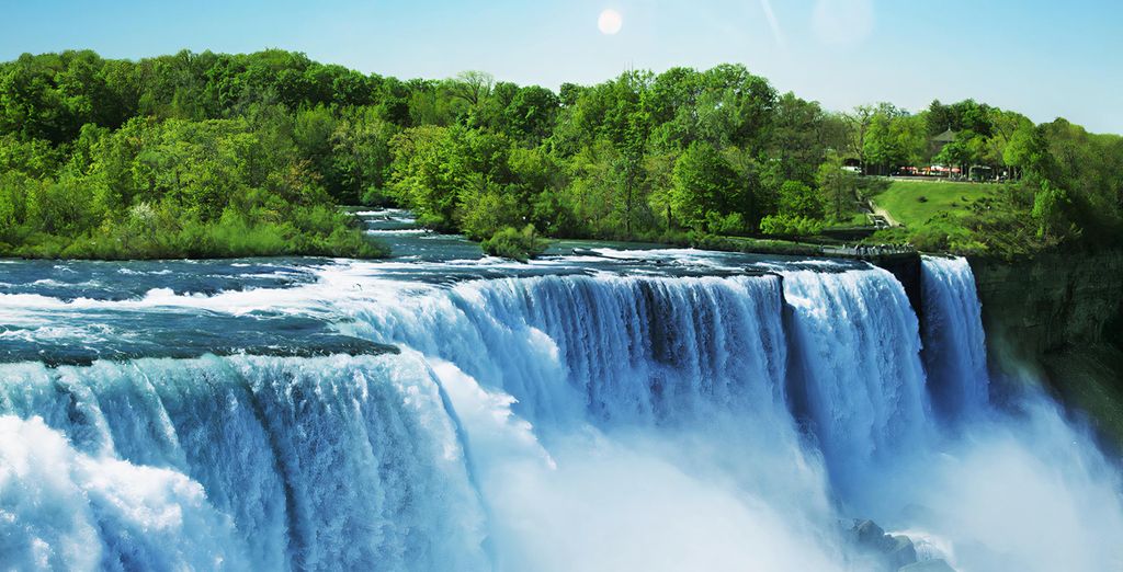 Tour di gruppo: Immersione nel Paese e cascate del Niagara