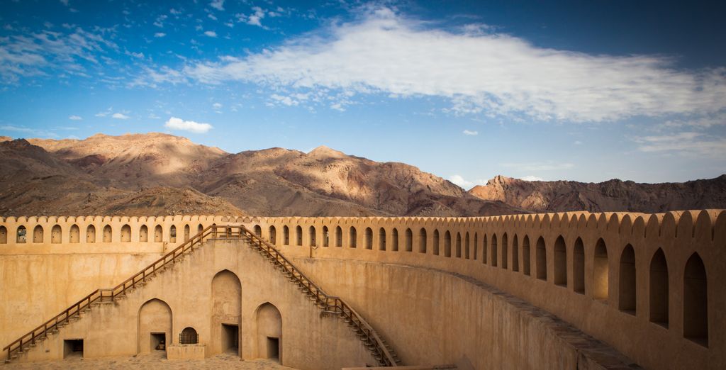 Tour di gruppo: Avventura tra deserto e spiagge del Paese