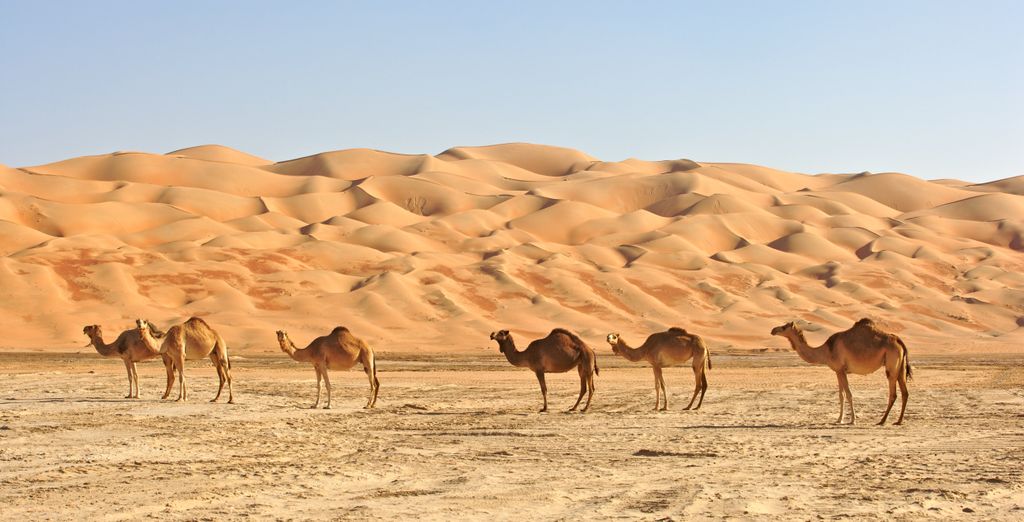D&eacute ;couverte d’Oman et IntercityHotel Muscat 4* 