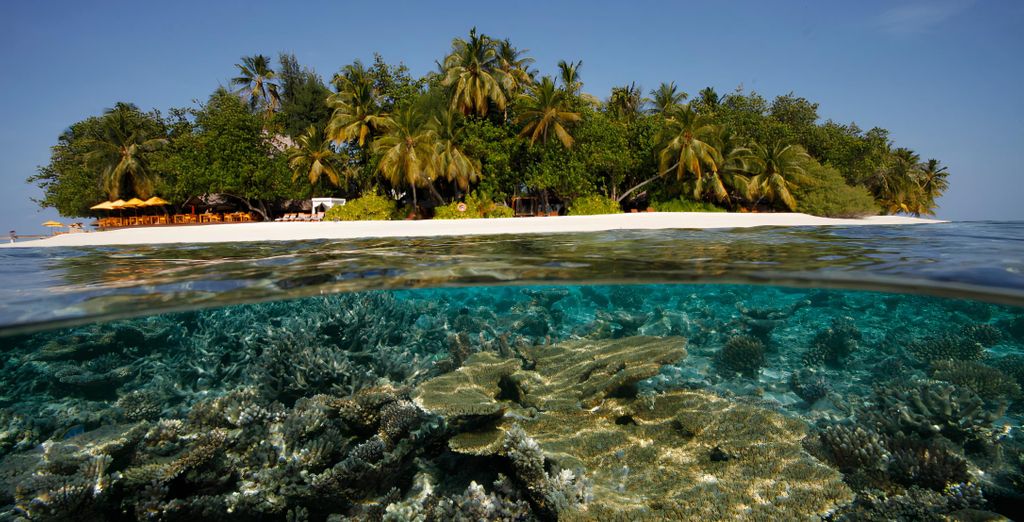 Dhawa Ihuru By Banyan Tree Group 5*