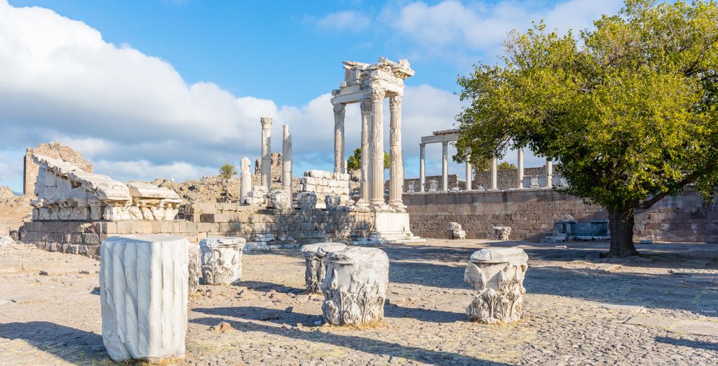 Tour di gruppo: Esperienza tra metropoli e natura