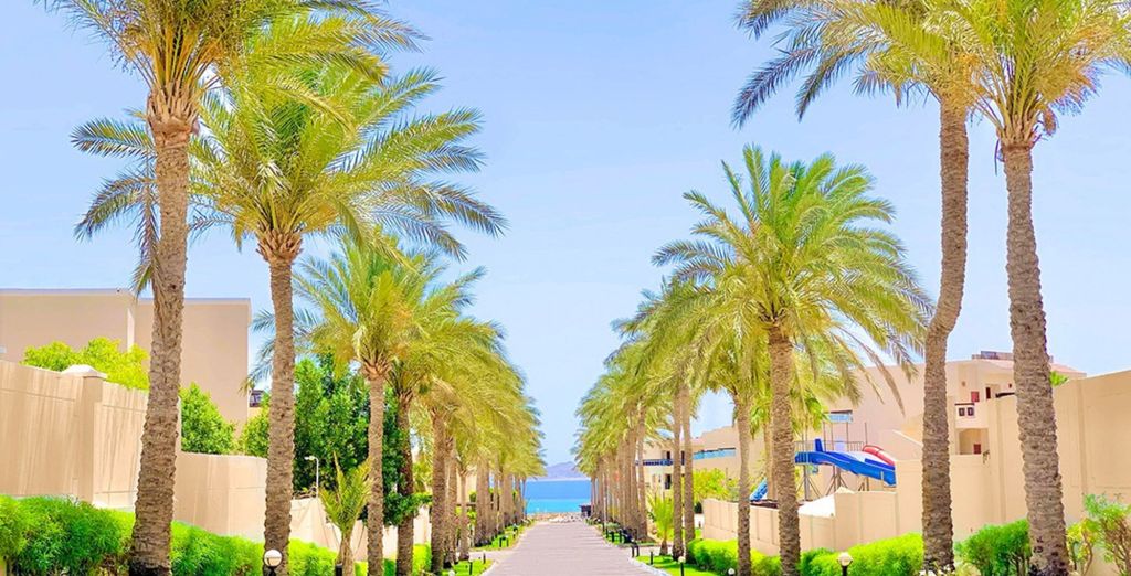 Ivy Cyrene Island Resort 4*