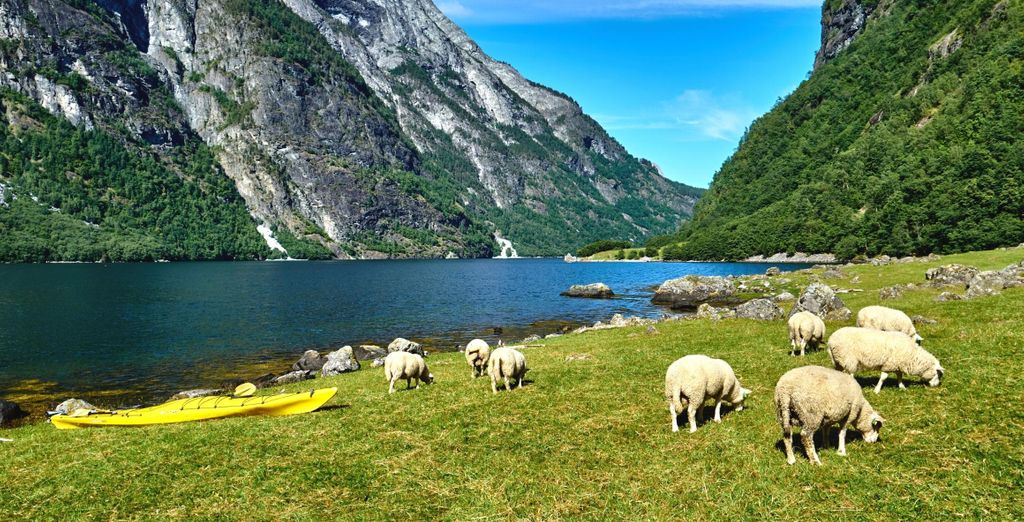 Soggiorno in libertà: Alla scoperta dei Fiordi