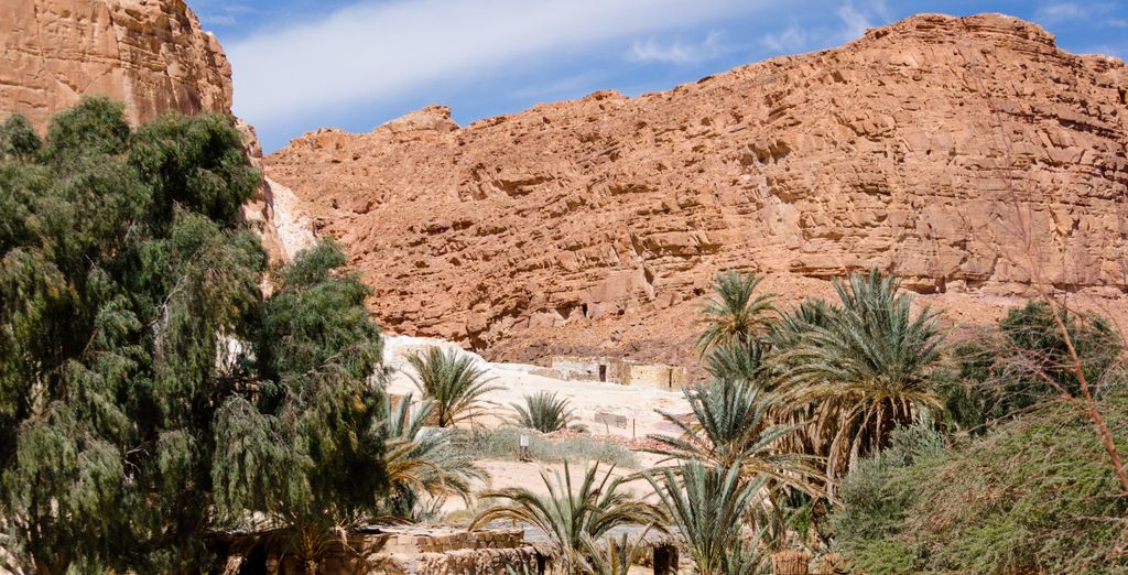 Tropitel Dahab Oasis 4*
