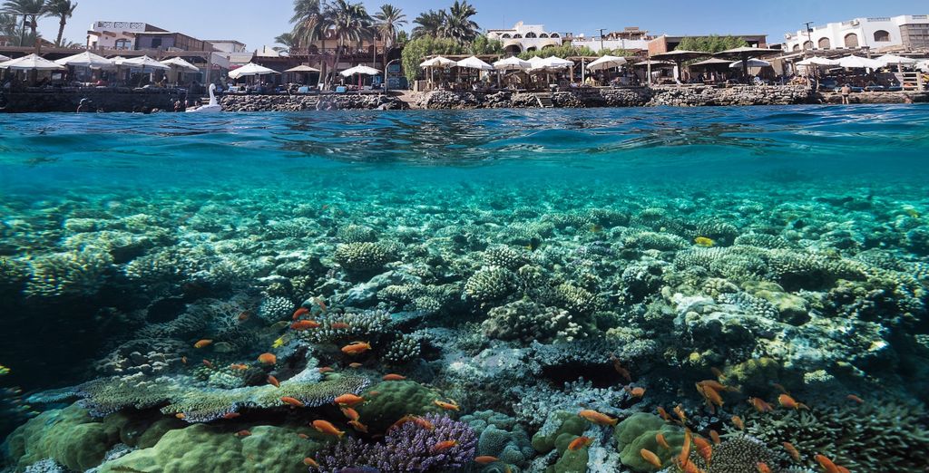 Tropitel Dahab Oasis 4*