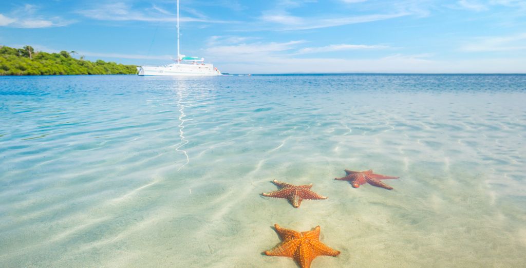 Soggiorno in libertà: Vacanza tropicale nell'America centrale