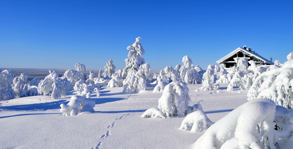 Suomu Chalets 4*