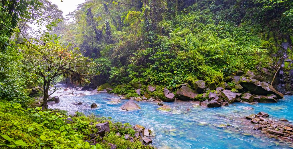 Autotour : Aventure au Costa Rica