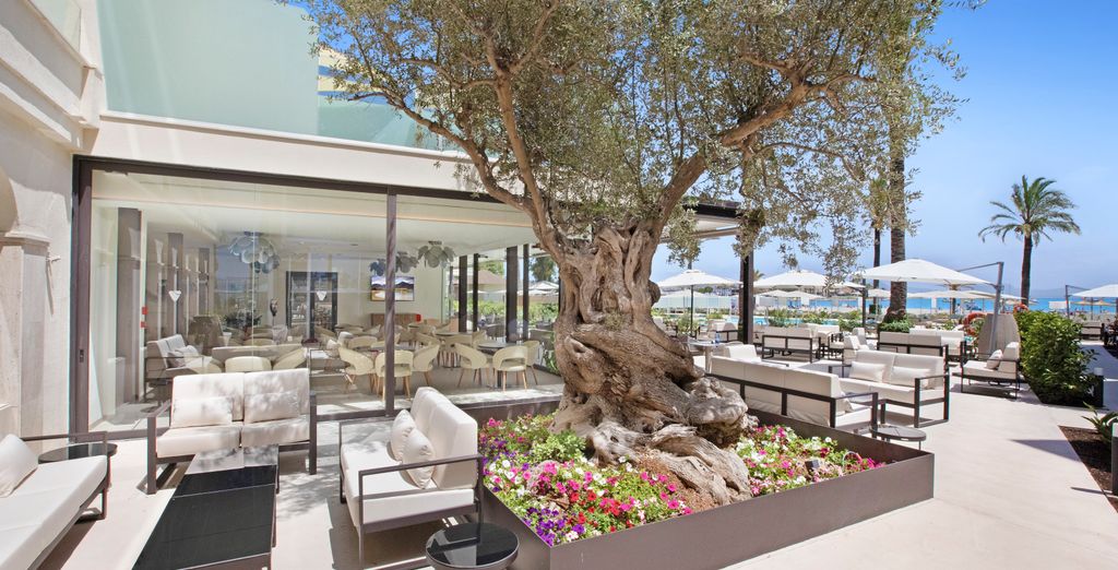 Hotel VIVA Golf 4* - Adults Only
