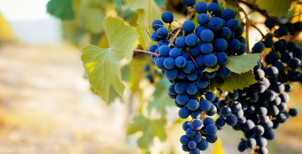 Tour Asti e Franciacorta