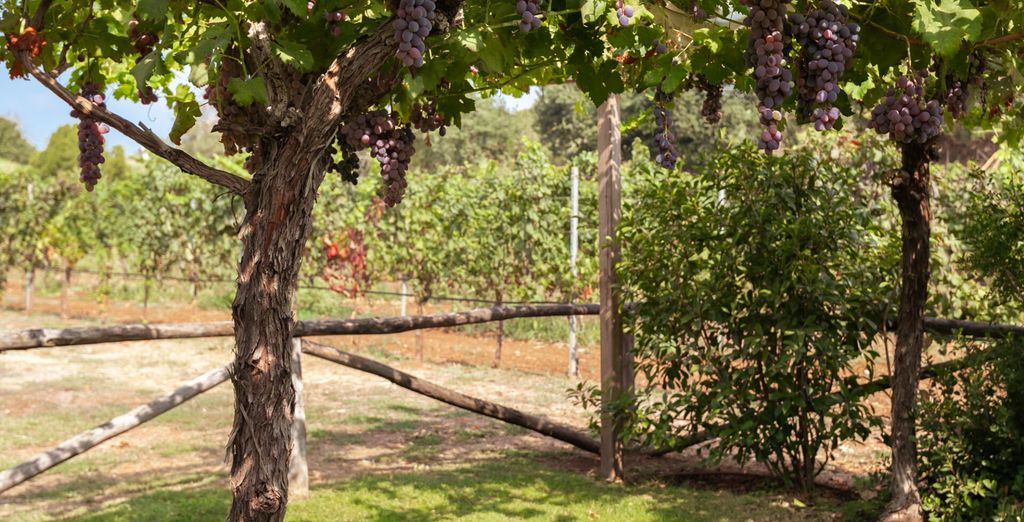 Antico Borgo Molino '7Cento