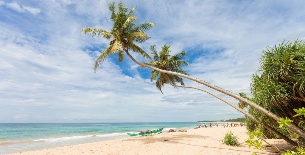 Tour privato: Le meraviglie dello Sri Lanka ed estensione in spiaggia