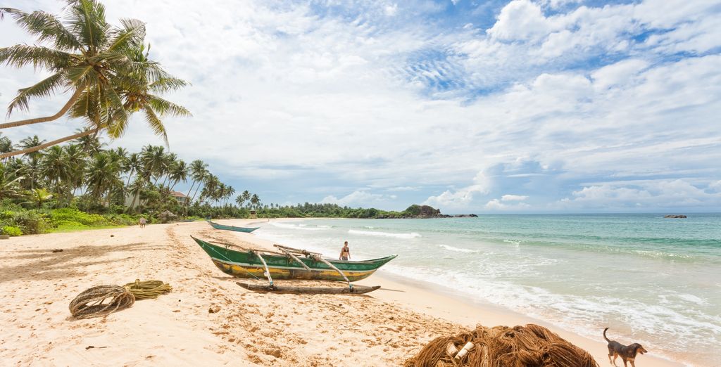 Tour privato: Le meraviglie dello Sri Lanka ed estensione in spiaggia