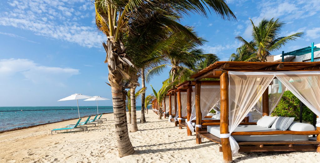 Margaritaville Beach Resort Riviera Cancun 5* e possibile minitour dello Yucatan
