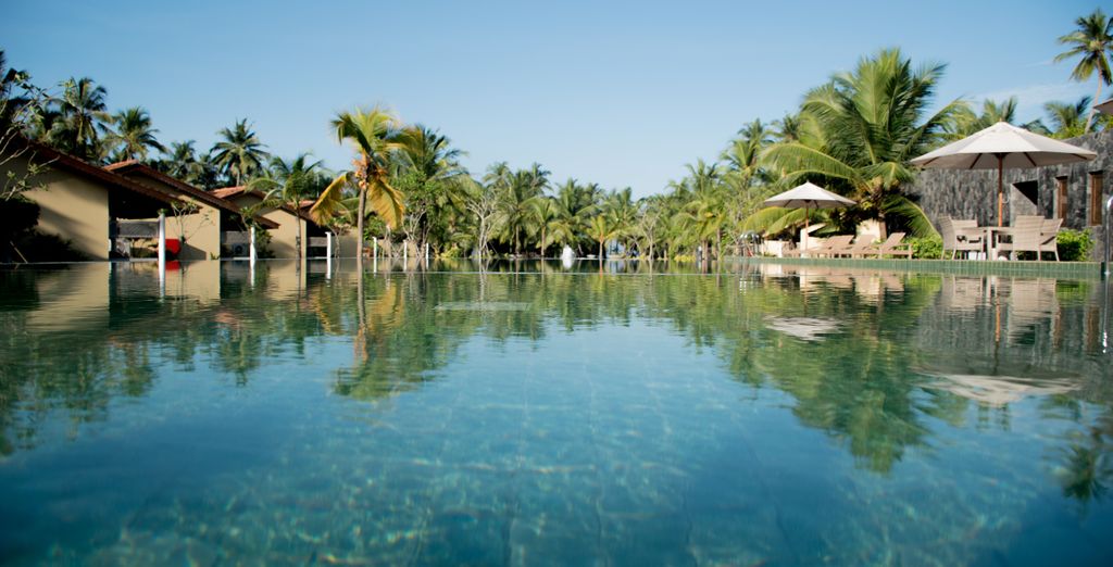 Tour privato alla scoperta di Ceylon 