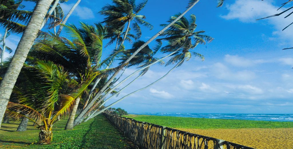 Tour privato: Alla scoperta dello Sri Lanka ed eventuale soggiorno al The Blue Water Hotel & Spa 5*