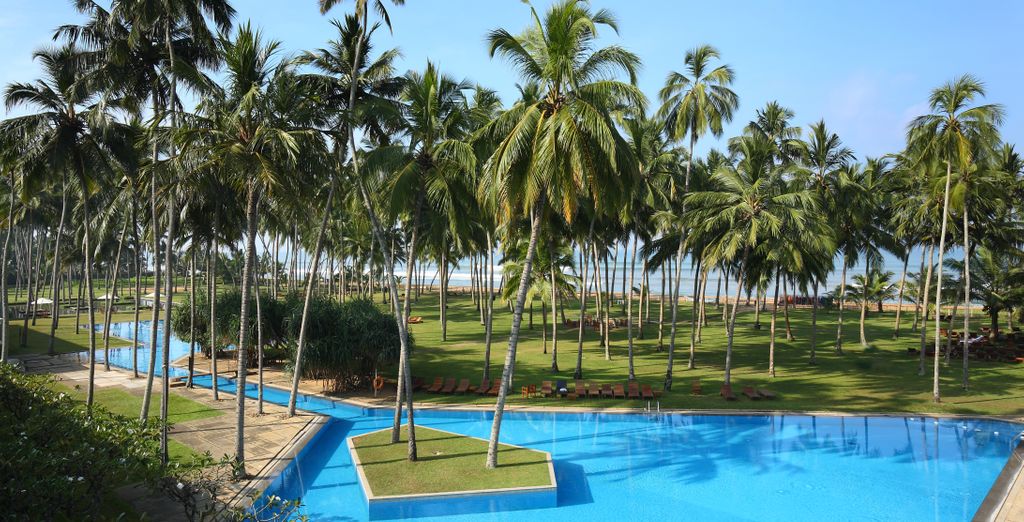 Tour privato: Alla scoperta dello Sri Lanka ed eventuale soggiorno al The Blue Water Hotel & Spa 5*