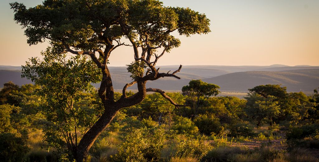 Sebatana Rhino Lodge 5*