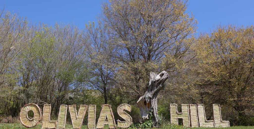 Olivia's Hill Resort 4*