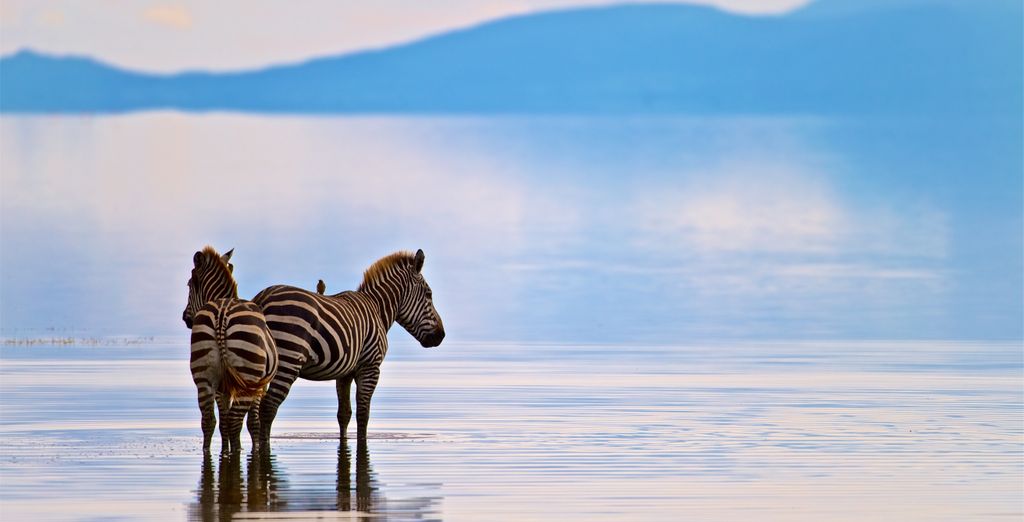 Safari privato: Tanzania selvaggia e The One Resort Zanzibar 4*