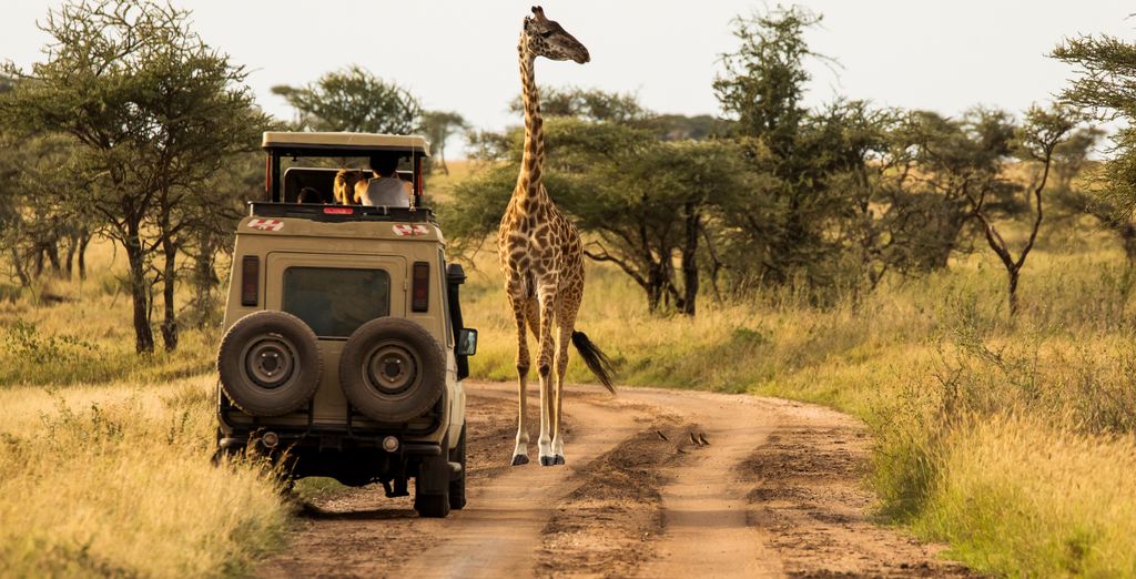Safari privato: Tanzania selvaggia e The One Resort Zanzibar 4*
