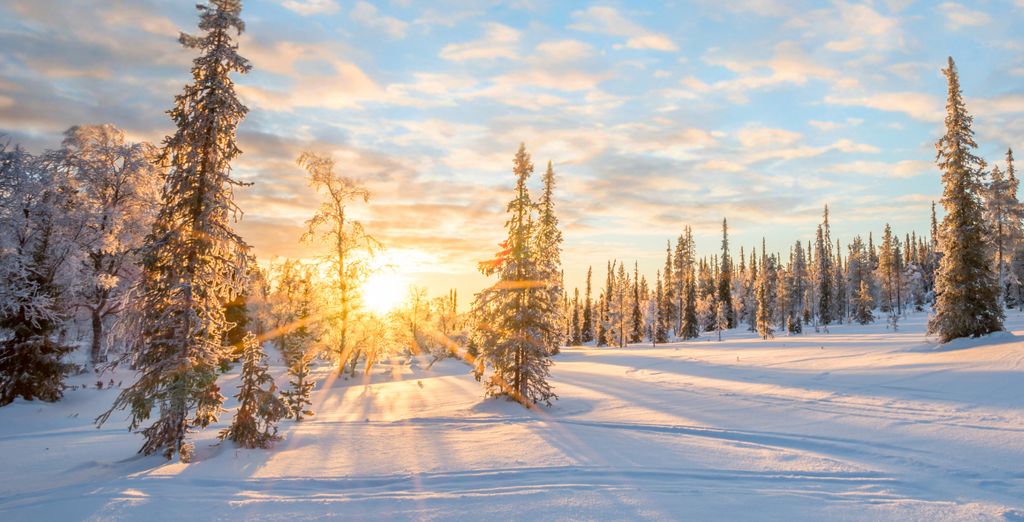 Northern Lights Village
