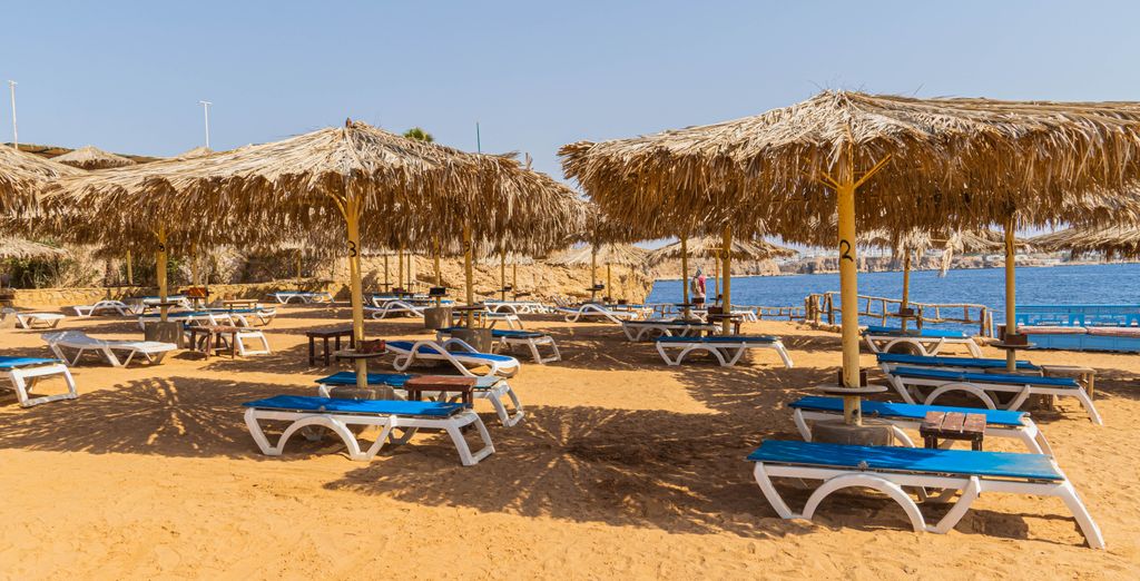 Sharm Reef Hotel 4*