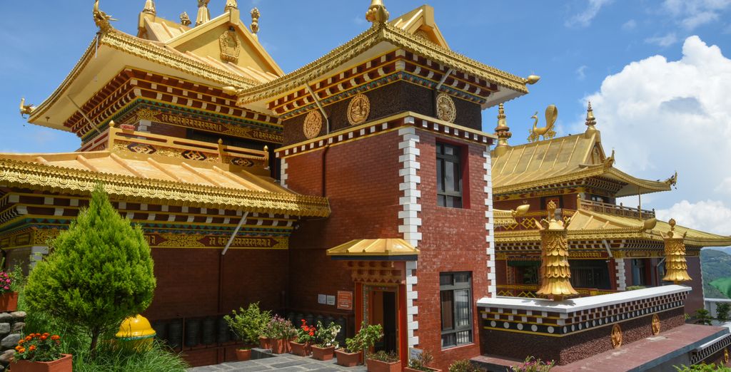 Tour privato: Immersione culturale in Nepal