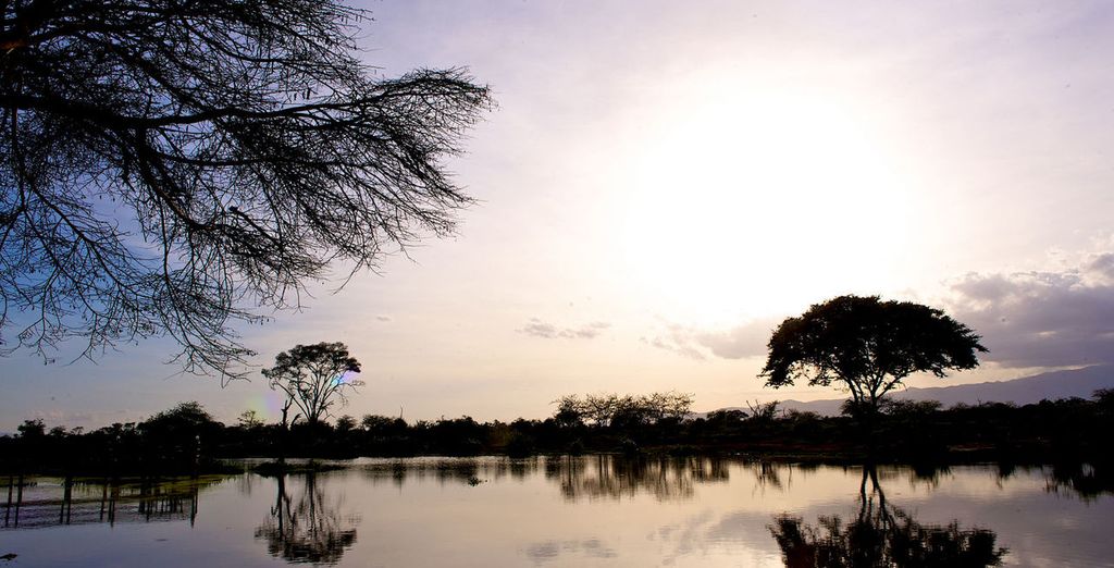 Jacaranda Indian Ocean Beach Resort 4* e safari nella natura