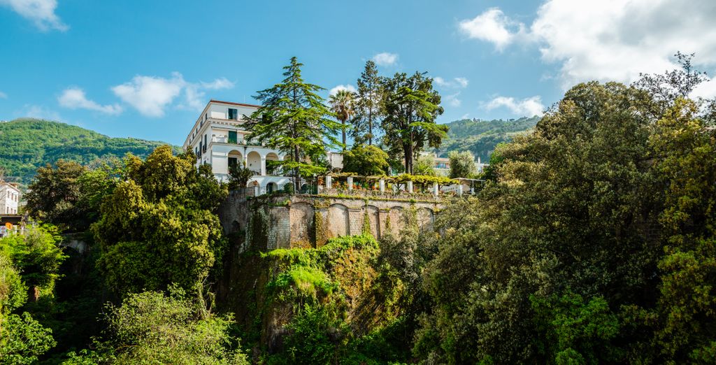 Tour di gruppo: Tra storia e bellezza nella Terra del Vesuvio
