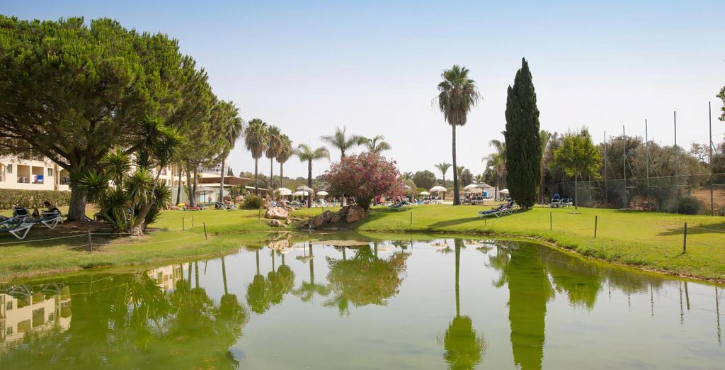 The Navigator - Palm Oasis Alvor 4*