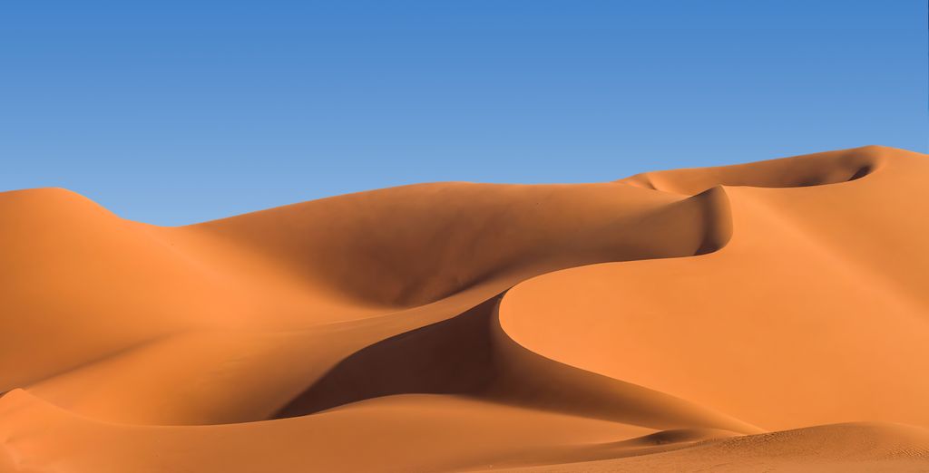 Tour di gruppo: Avventura tra deserto e spiagge del Paese