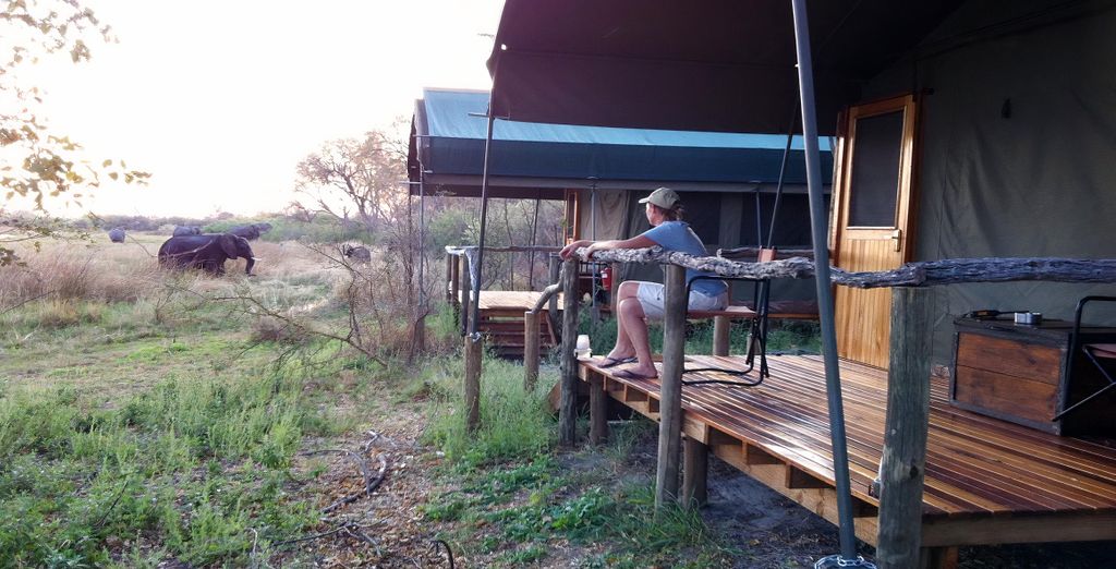 Combinato Pioneers Lodge, Chobe Elephant Camp e Sango Safari Camp