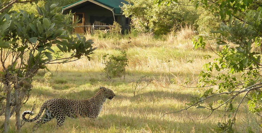 Combinato Pioneers Lodge, Chobe Elephant Camp e Sango Safari Camp