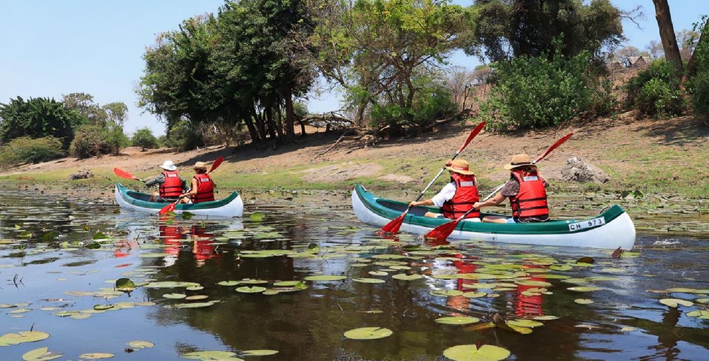 Combinato Pioneers Lodge, Chobe Elephant Camp e Sango Safari Camp