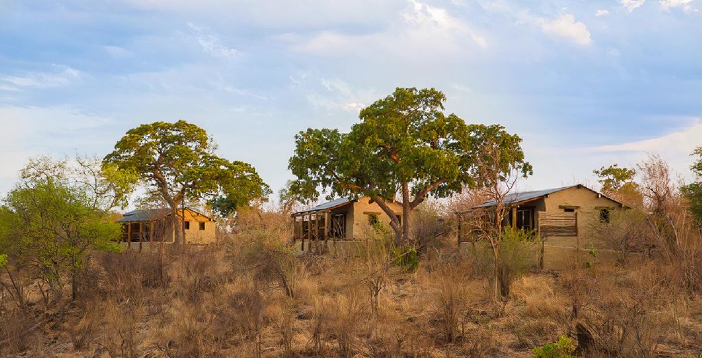 Combinato Pioneers Lodge, Chobe Elephant Camp e Sango Safari Camp