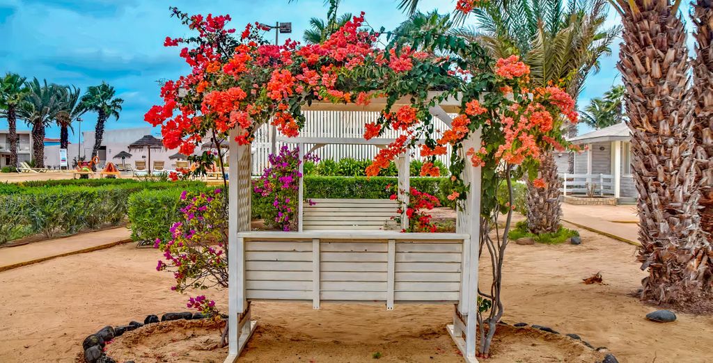 Framissima Oasis Belorizonte 4*
