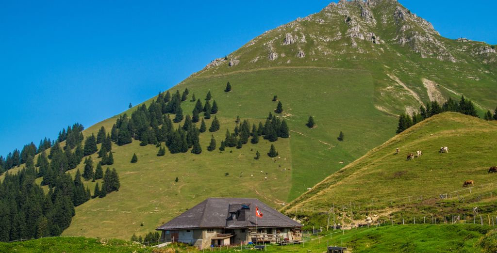 Boutique Hotel Corbetta 4*
