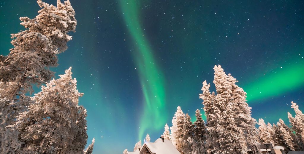 Northern Lights Village