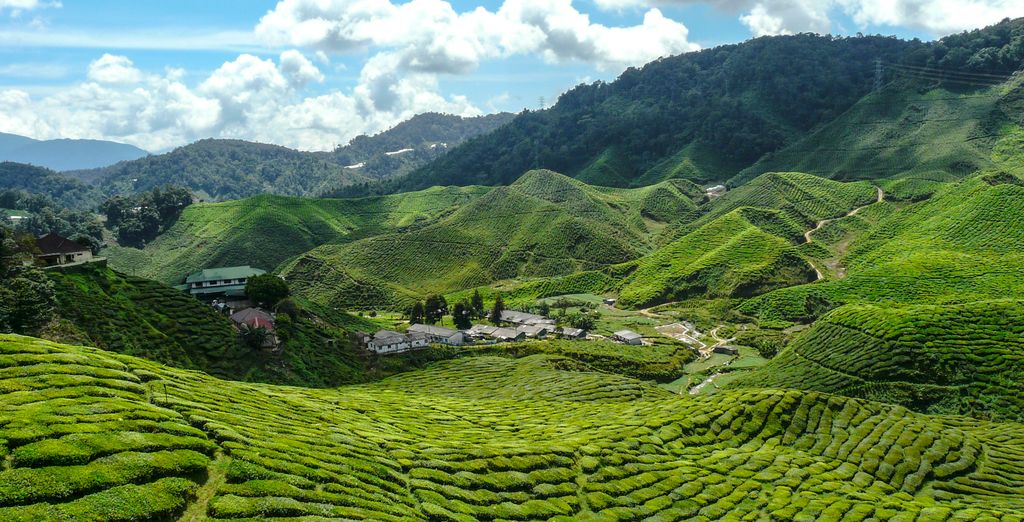 AC Hotel Kuala Lumpur 4*, Cameron Highlands Resort 5* e Pangkor Laut Resort 5*
