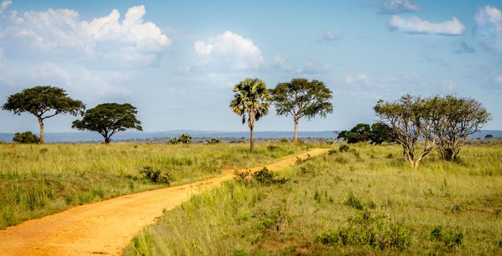 Tour privato alla scoperta della flora e fauna locale