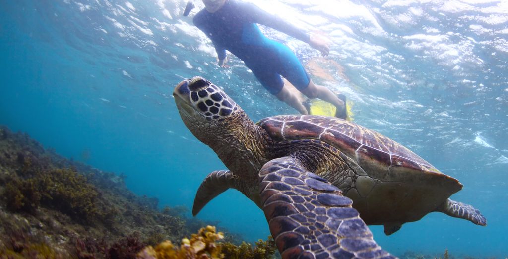 Circuito privado: Descubriendo las Islas Morabeza en 7 noches